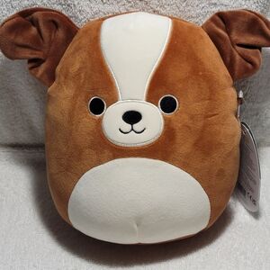 Squishmallows Bernie the Saint Bernard 8" Stuffed Animal